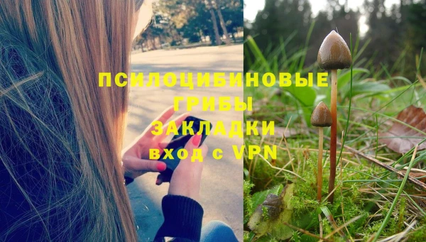 MESCALINE Покров